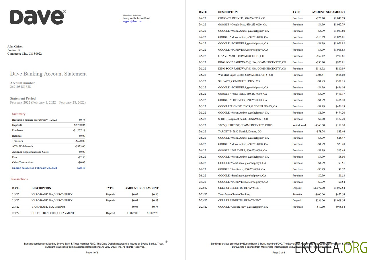 Relevé de compte bancaire USA Dave 5 pages
